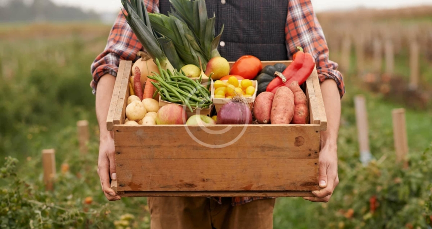 Eating Well for Mental Health