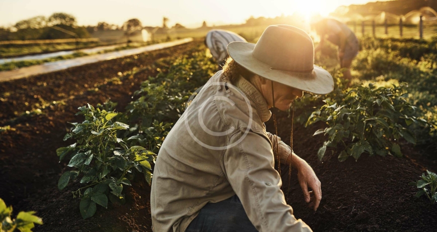 Importance of Food Safety Training