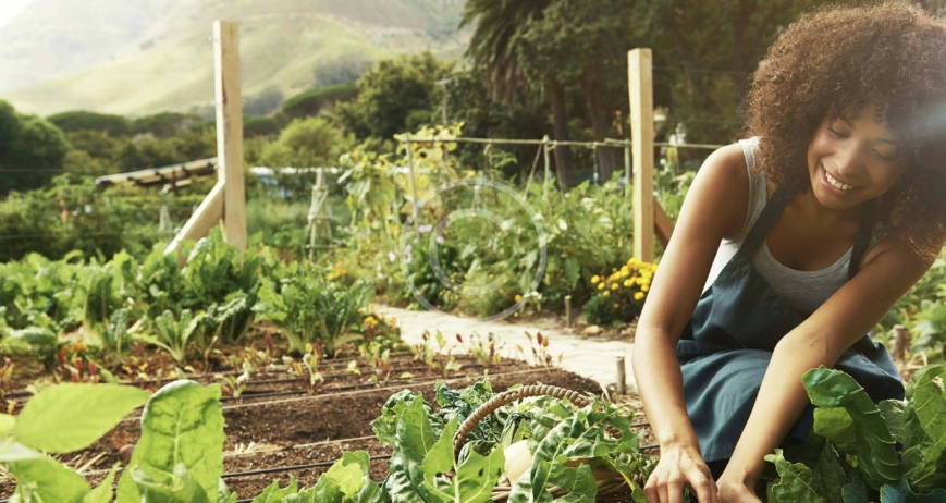 Healthy Food for Kids