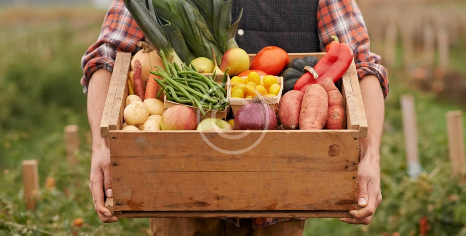 Wendell Berry said it best when he said that “eating is an agricultural act.” Our mission is to change the food system by providing a healthy, fresh alternative to industrial food.